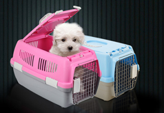 冷藏車(chē)廠房圖